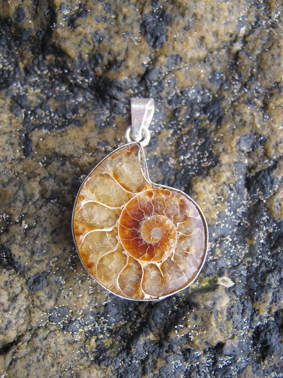 Fossil Snail Pendant