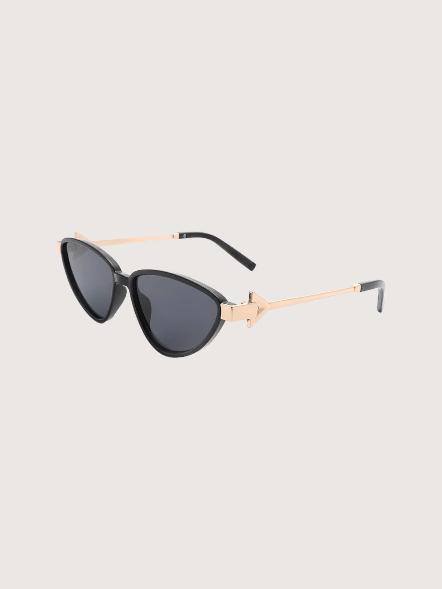 Gold Accent Sunglasses | Black