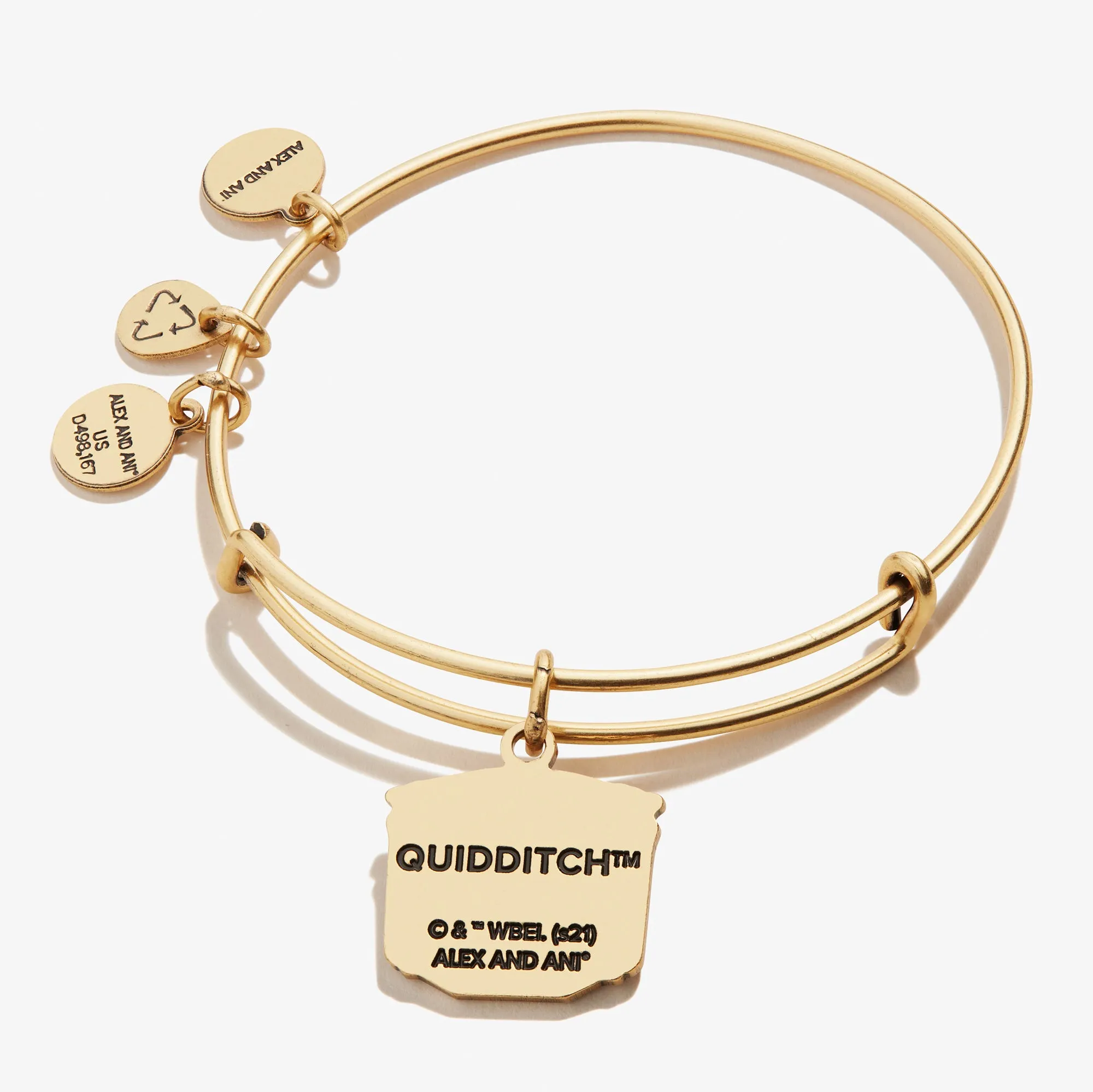 HARRY POTTER 'Quidditch Pitch' Charm Bangle