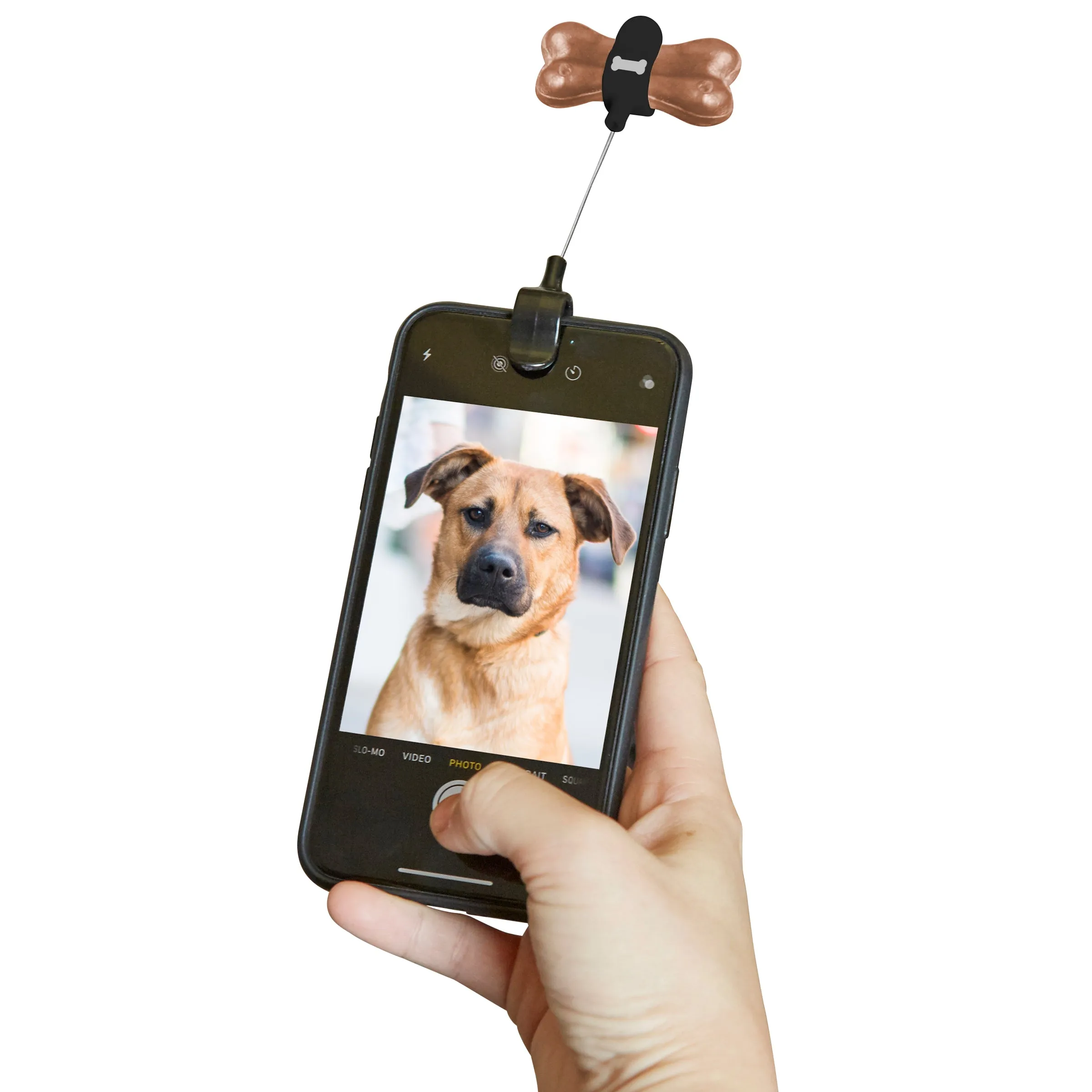 Kobe Dog Treat Selfie Clip