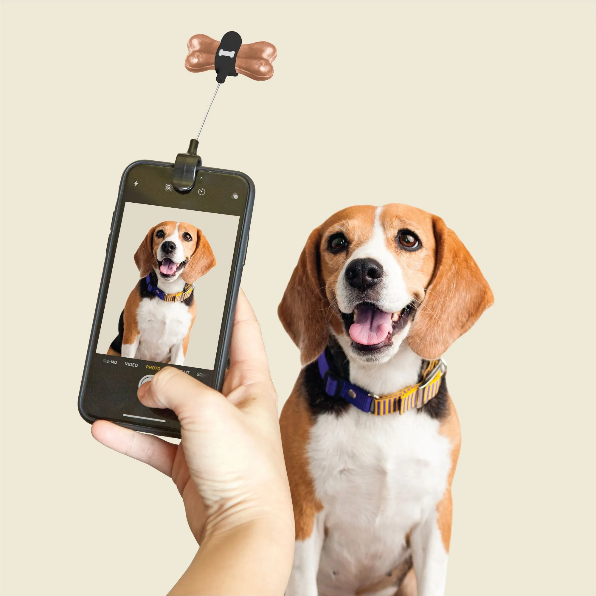 Kobe Dog Treat Selfie Clip