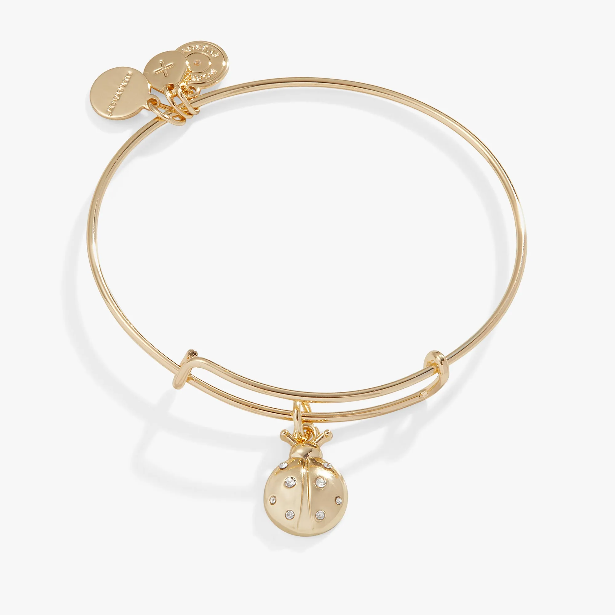 Ladybug Charm Bangle Bracelet