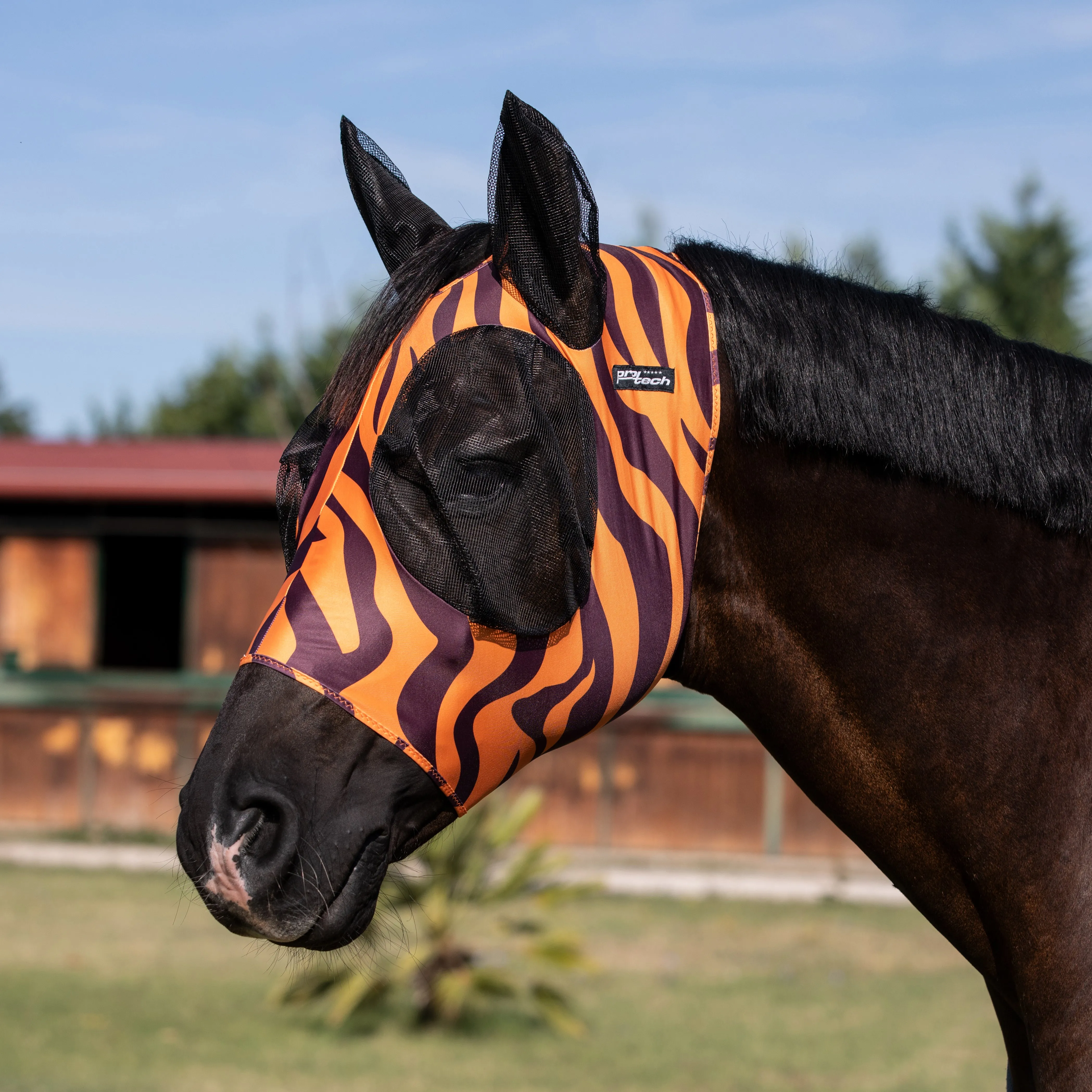 Lycra Anti-Fly Mask with Ear Cover Net