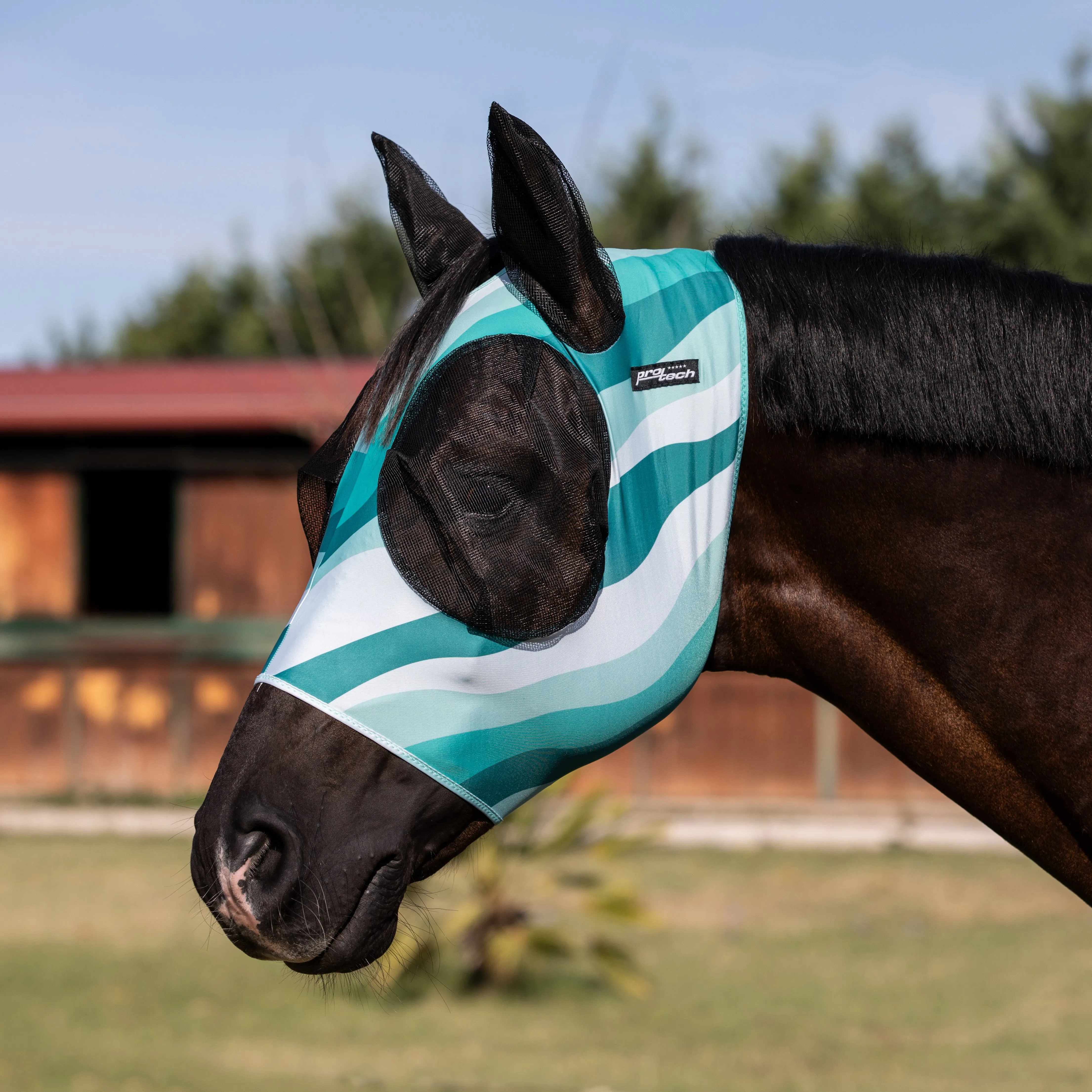 Lycra Anti-Fly Mask with Ear Cover Net