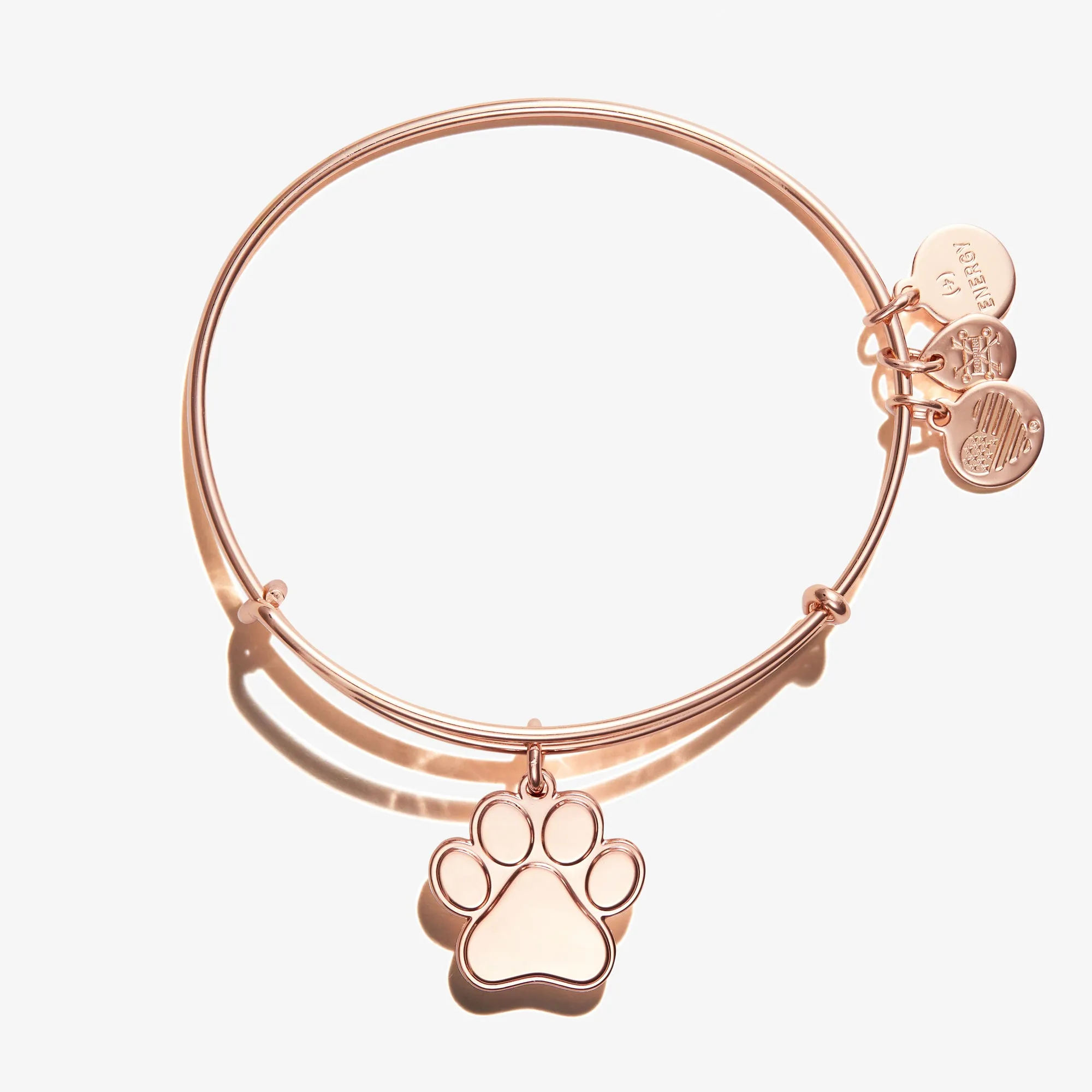 Paw Print Charm Bangle