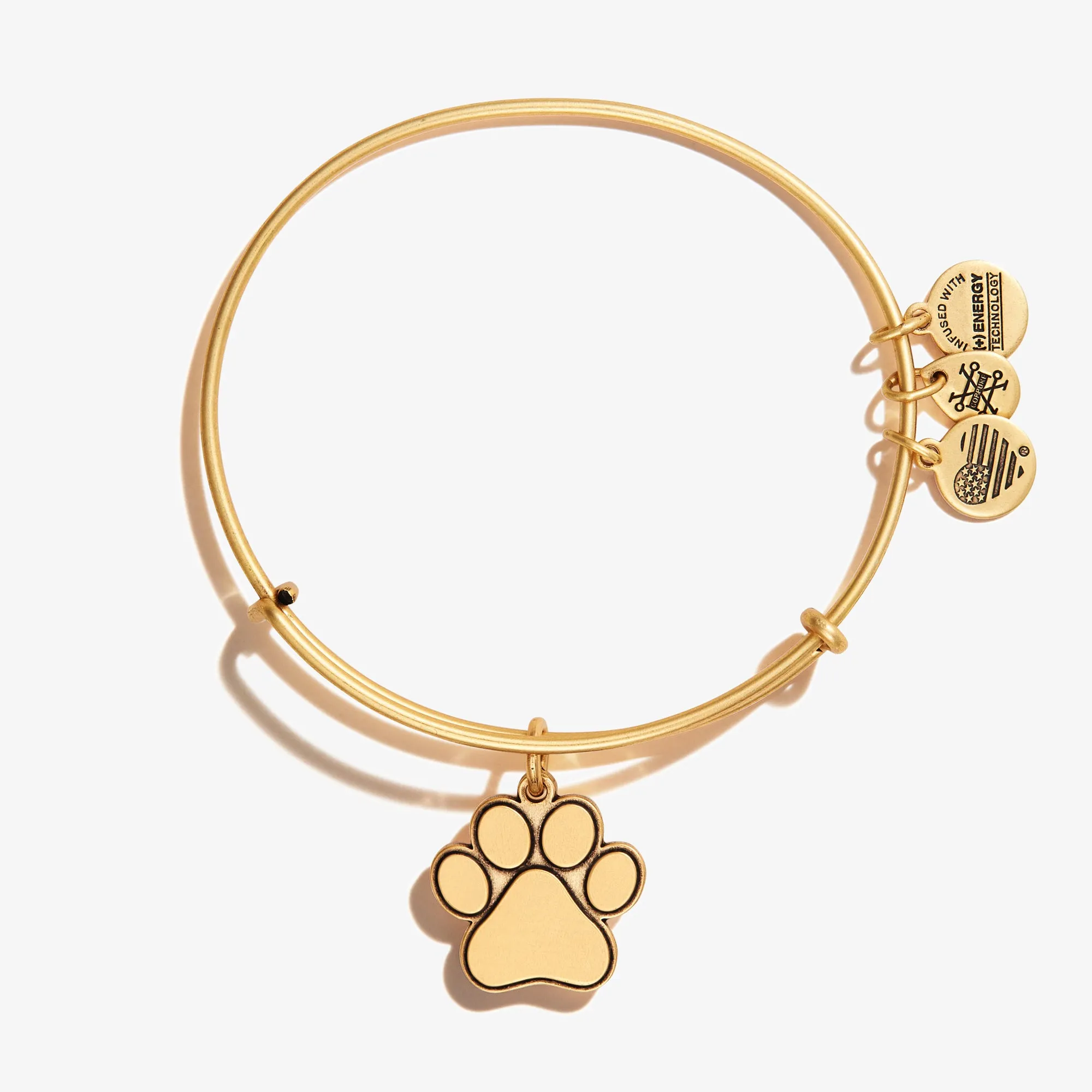 Paw Print Charm Bangle