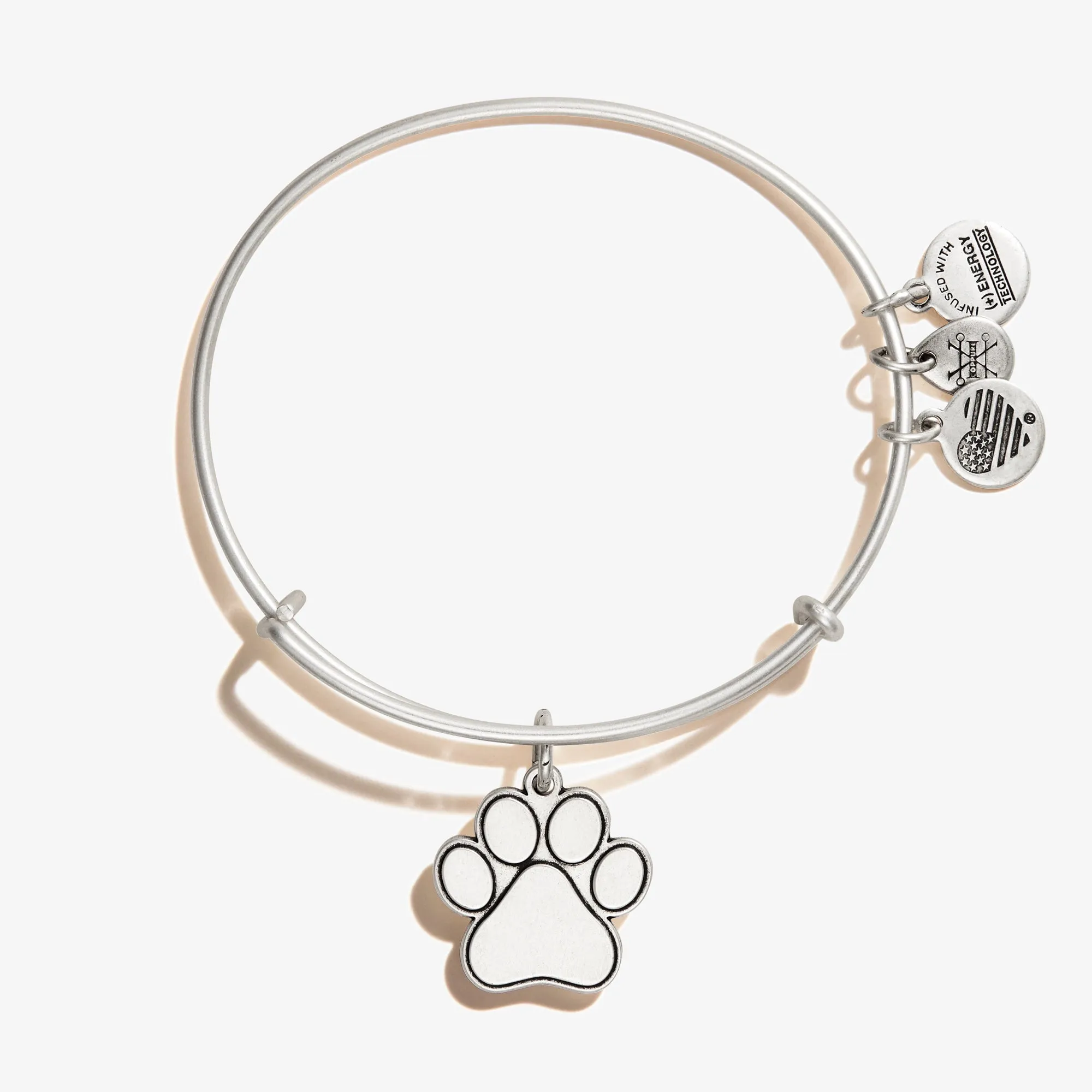 Paw Print Charm Bangle