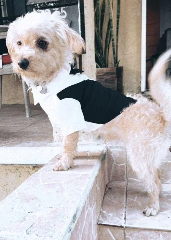 Pawpatu Black and White Wedding Shirt with Bow Tie for Pets