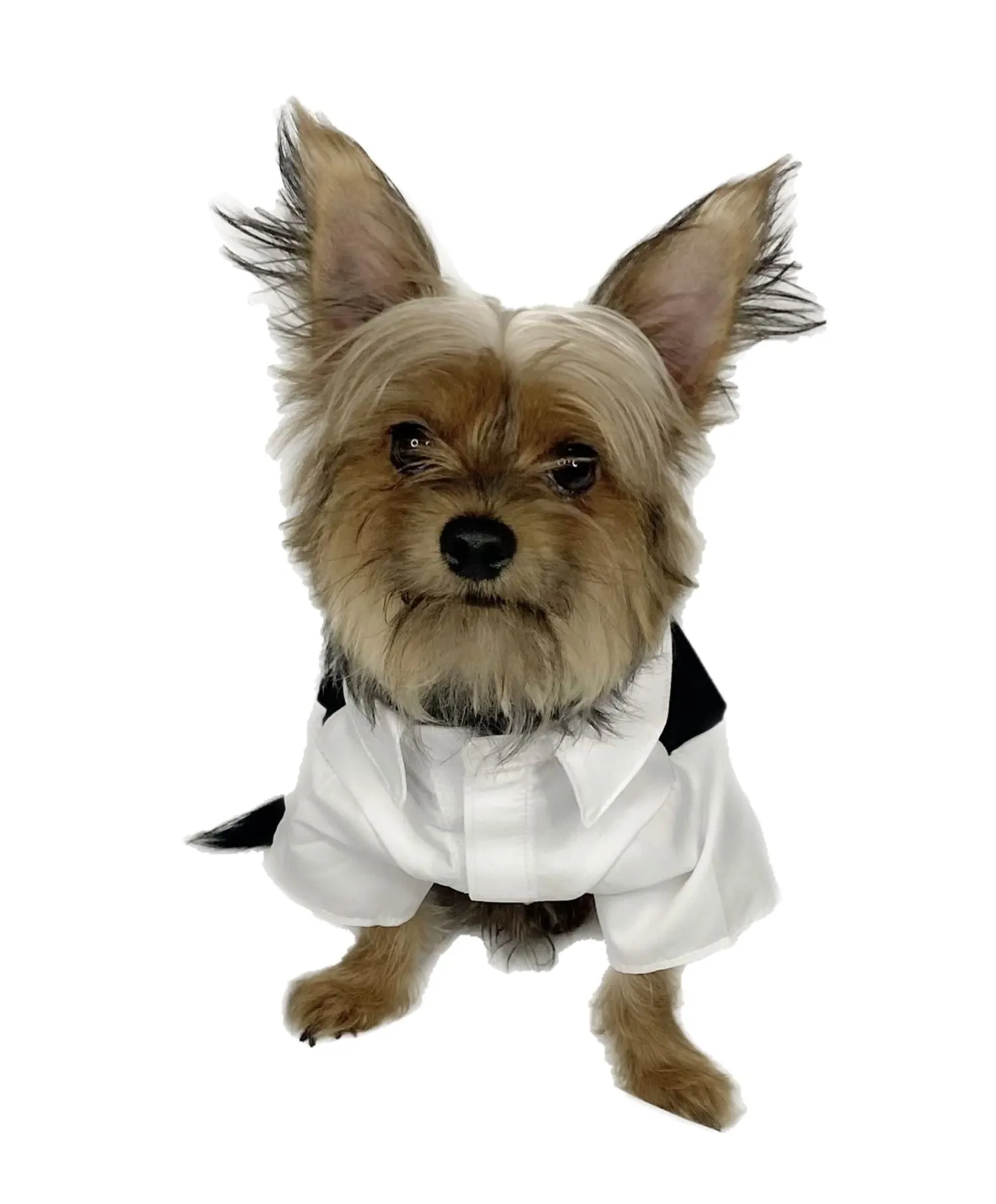 Pawpatu Black and White Wedding Shirt with Bow Tie for Pets