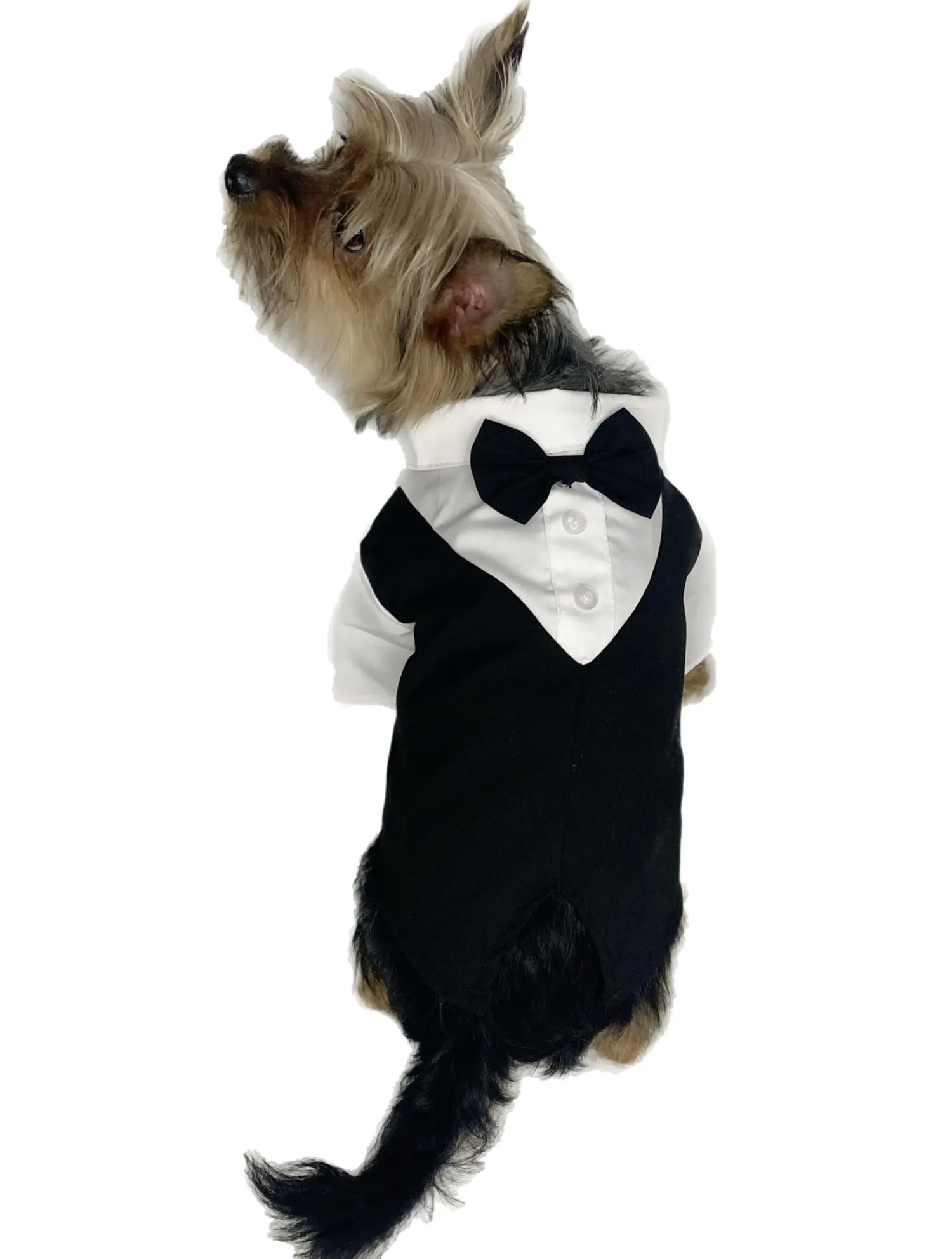 Pawpatu Black and White Wedding Shirt with Bow Tie for Pets